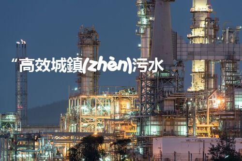 “高效城鎮(zhèn)污水處理流程，守護碧水藍天新篇章”